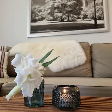 Strandapartment ティメンドルファー・シュトラント